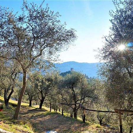 Chalet Laghel Arco Luaran gambar